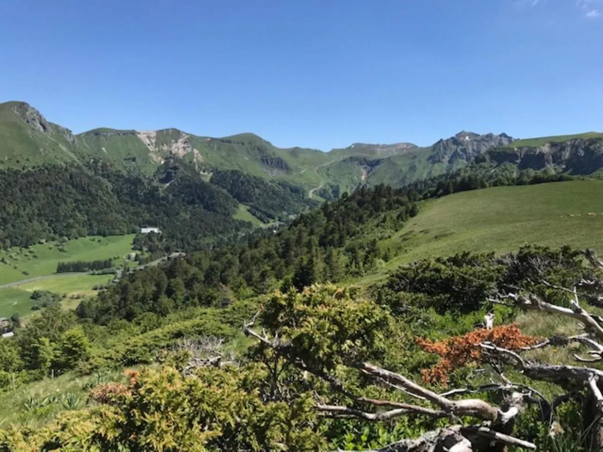 Mont Dore: T2 Avec Balcon Et Parking Prive - Fr-1-608-136 0*, Le Mont-Dore